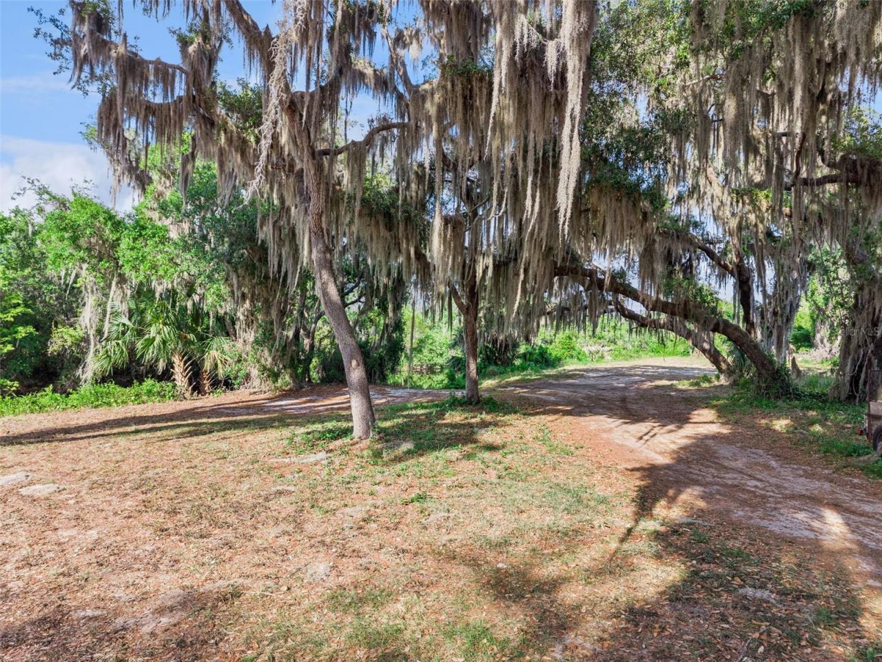 35401 Willow Circle, Fruitland Park, FL 34731 Photo