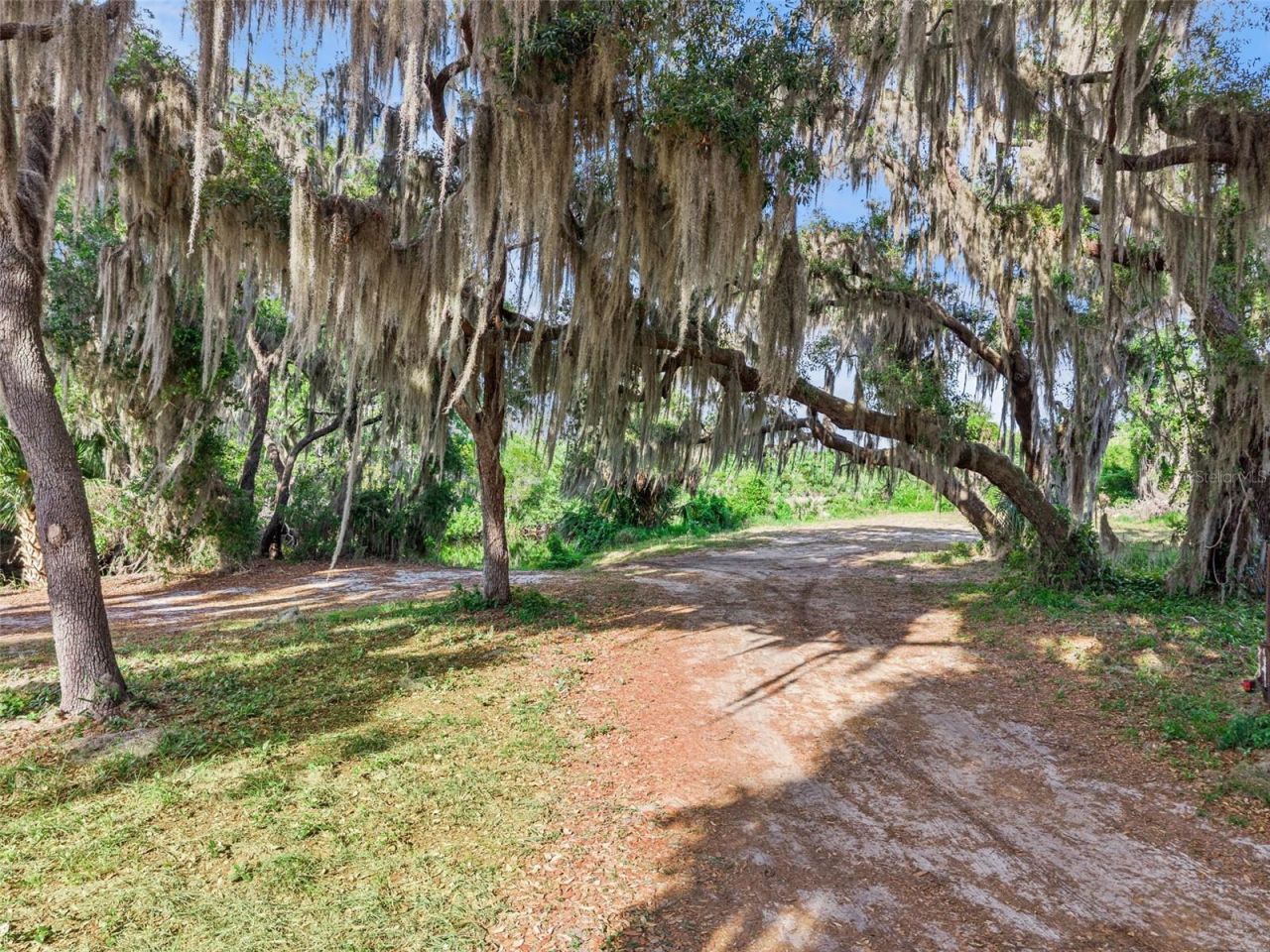 35401 Willow Circle, Fruitland Park, FL 34731 Photo