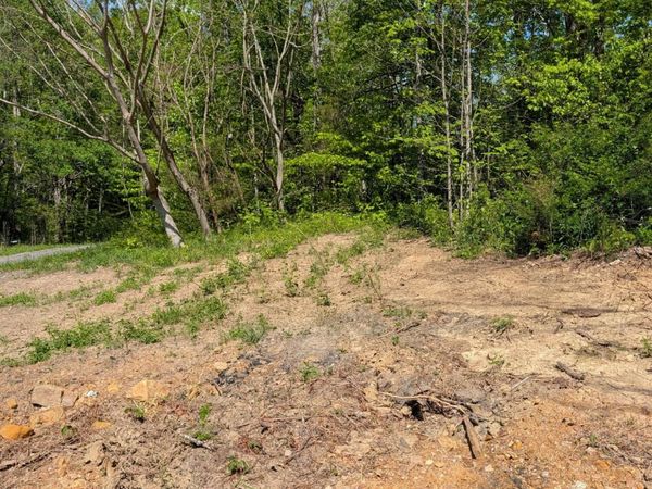 523 Sulphur Springs Road, Rogersville, TN 37857