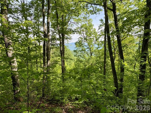 0 Carpenter Road , Bryson City, NC 28713