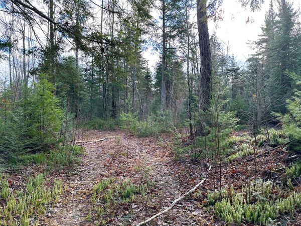 TBD M-123, Trout Lake, MI 49793