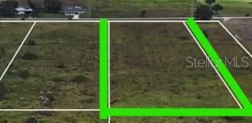 Metheny Rd, Parcel C, Wauchula, FL 33873 Photo