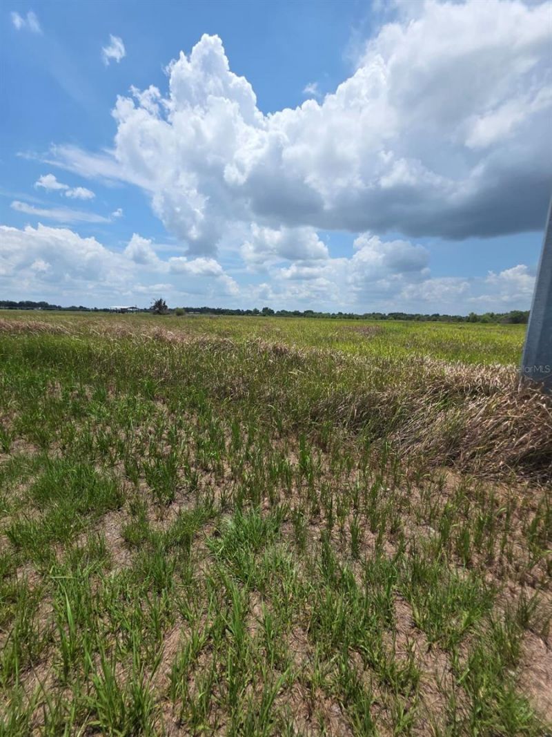 Metheny Rd, Parcel C, Wauchula, FL 33873 Photo