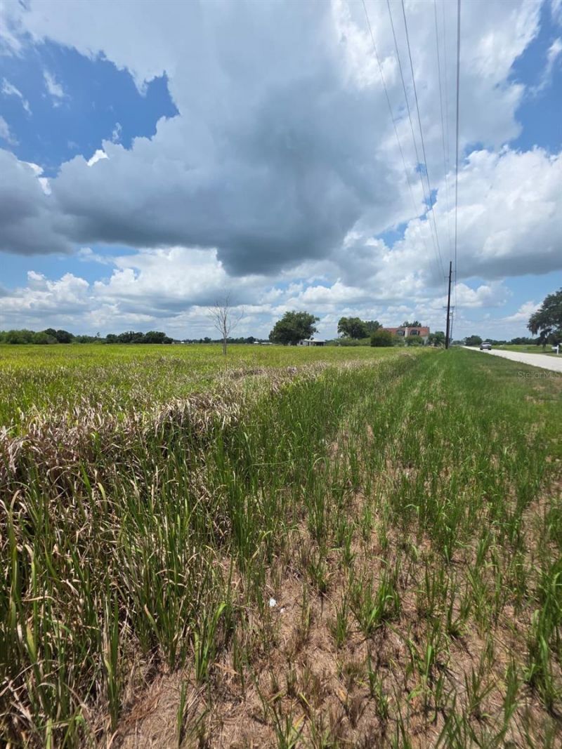 Metheny Rd, Parcel C, Wauchula, FL 33873 Photo