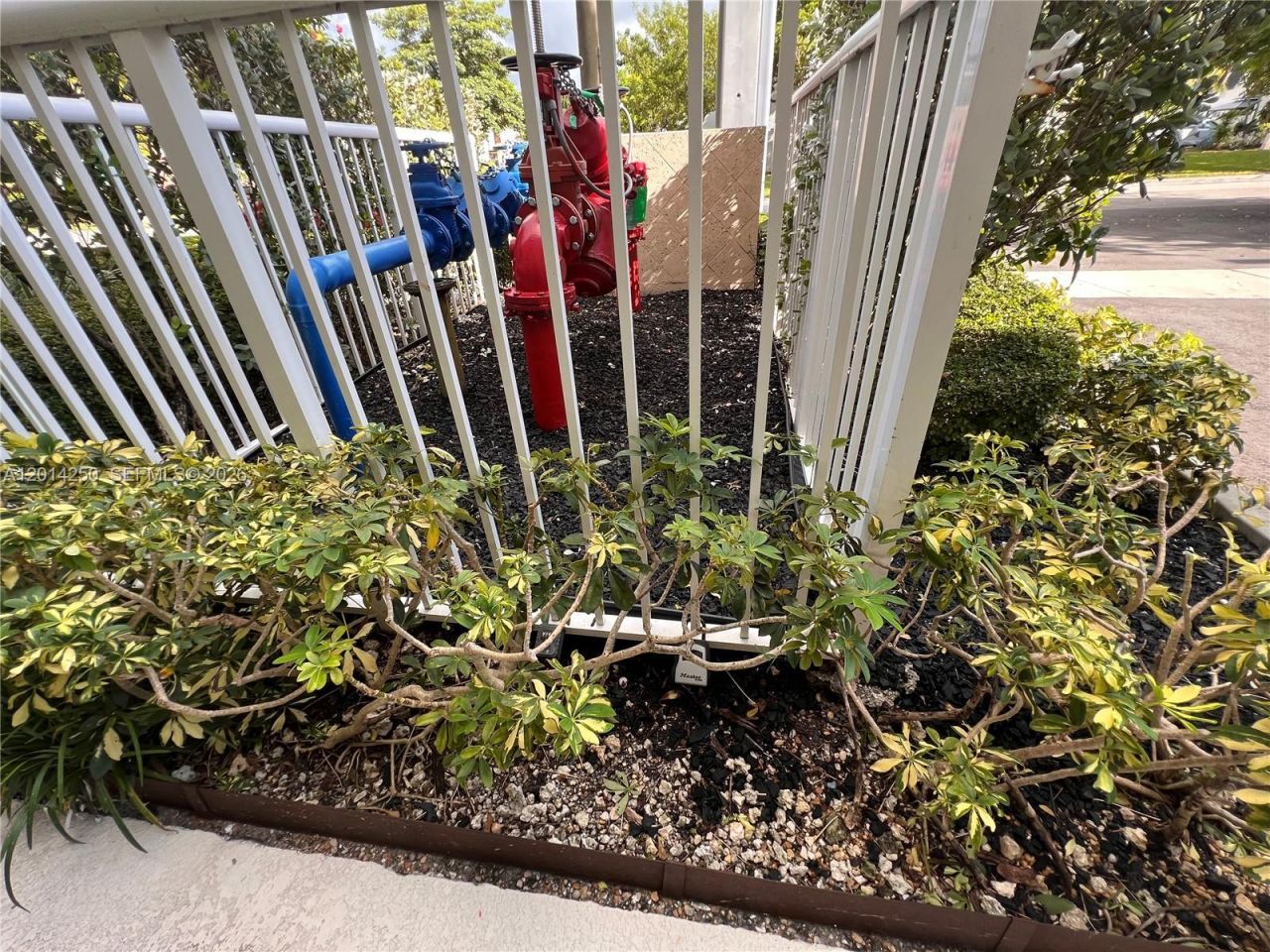 2020 NE 135th St, Unit 309, North Miami, FL 33181 Photo