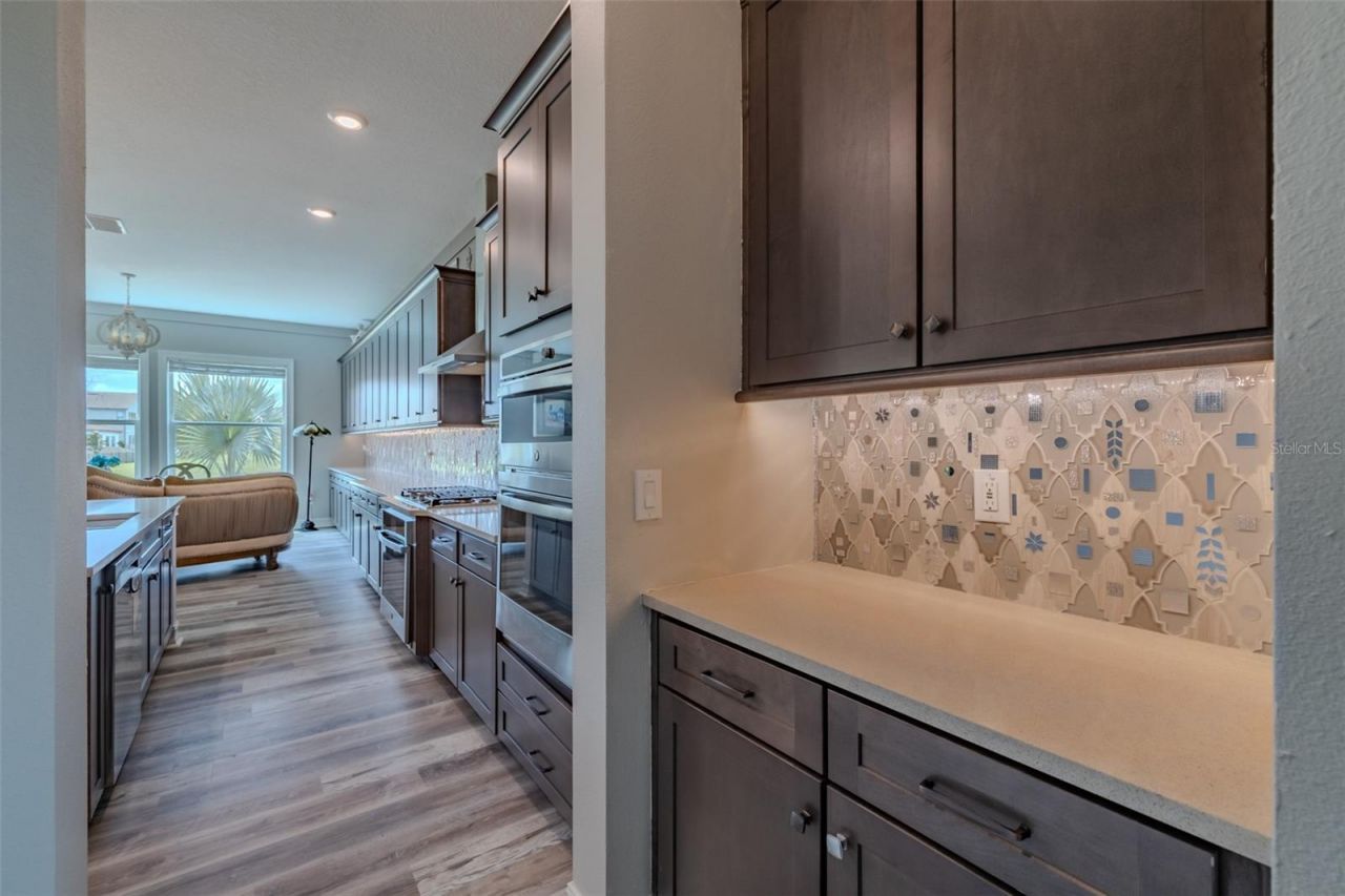29527 Picana Lane, Wesley Chapel, FL 33543 Photo