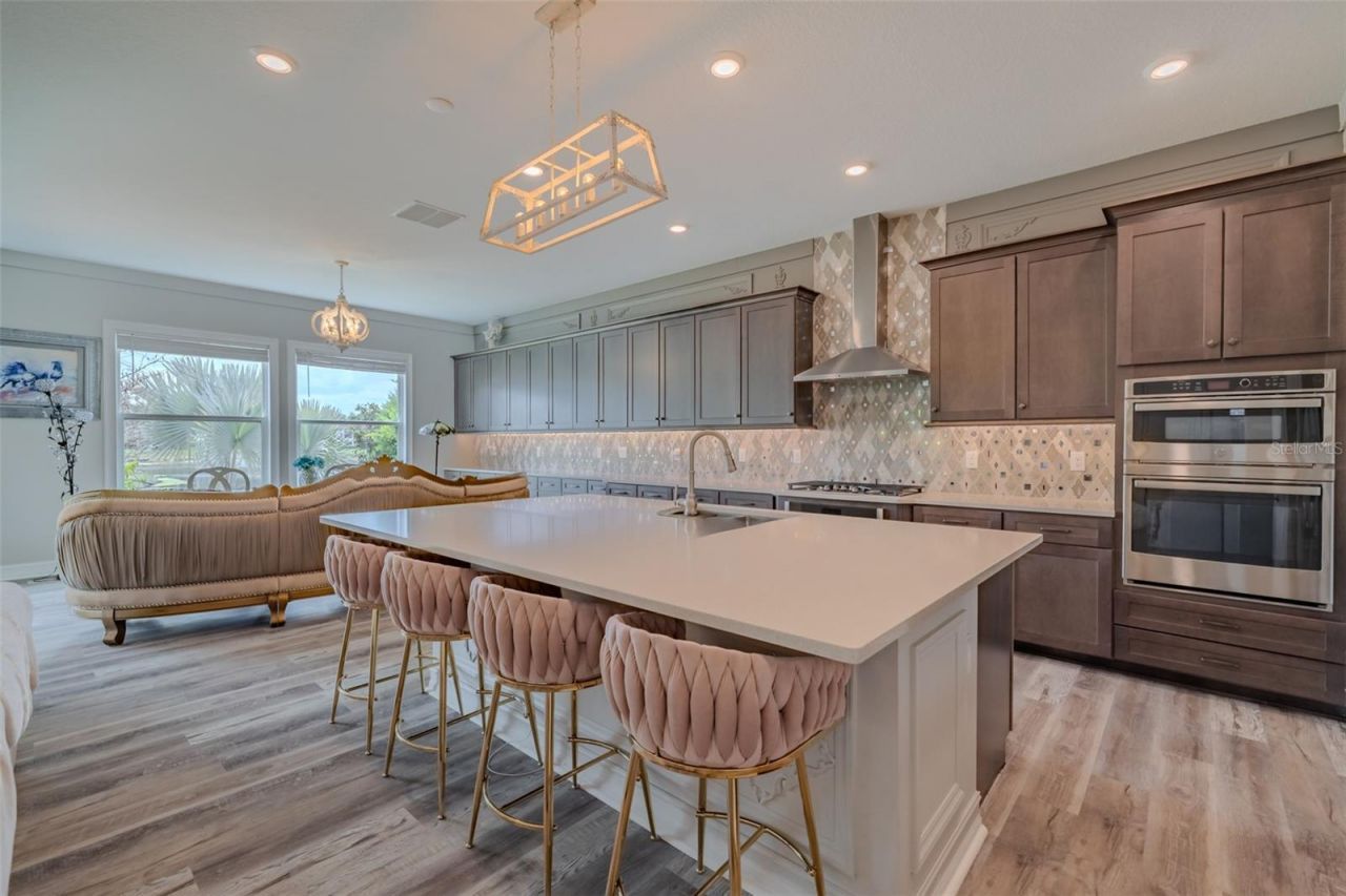 29527 Picana Lane, Wesley Chapel, FL 33543 Photo