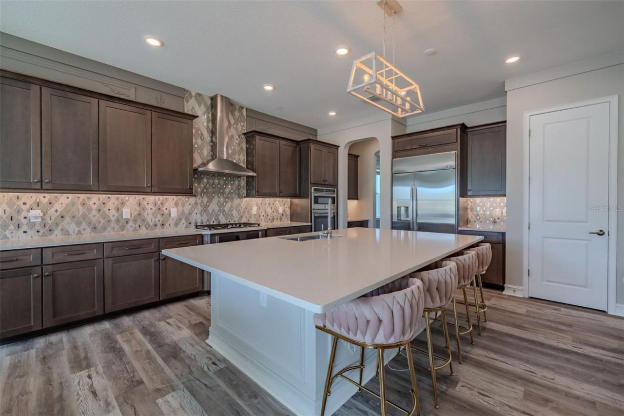 29527 Picana Lane, Wesley Chapel, FL 33543 Photo