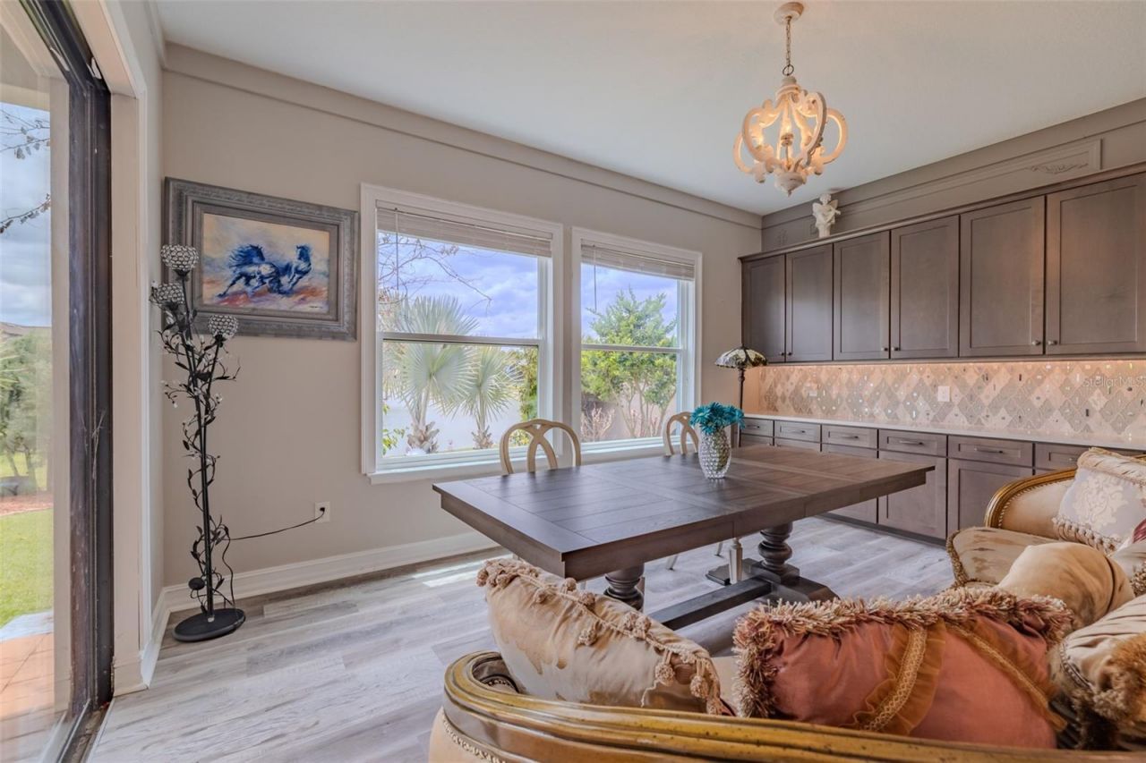 29527 Picana Lane, Wesley Chapel, FL 33543 Photo