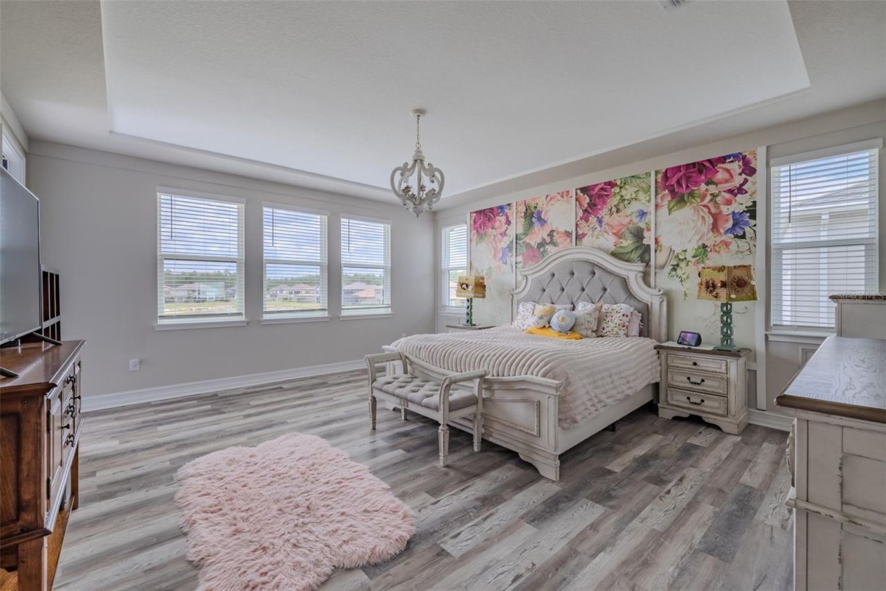 29527 Picana Lane, Wesley Chapel, FL 33543 Photo