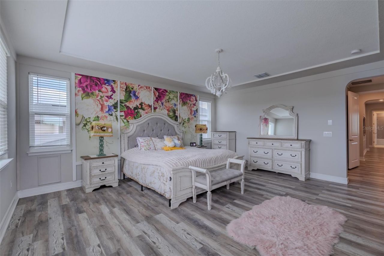 29527 Picana Lane, Wesley Chapel, FL 33543 Photo