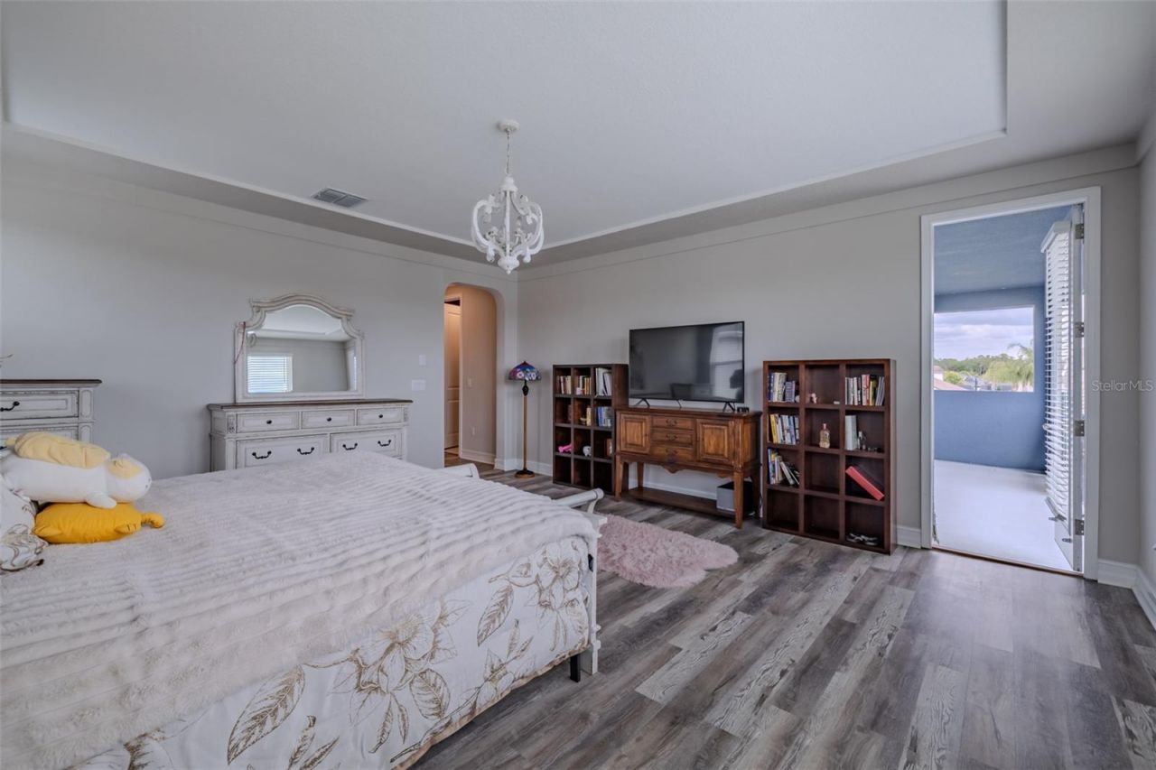 29527 Picana Lane, Wesley Chapel, FL 33543 Photo
