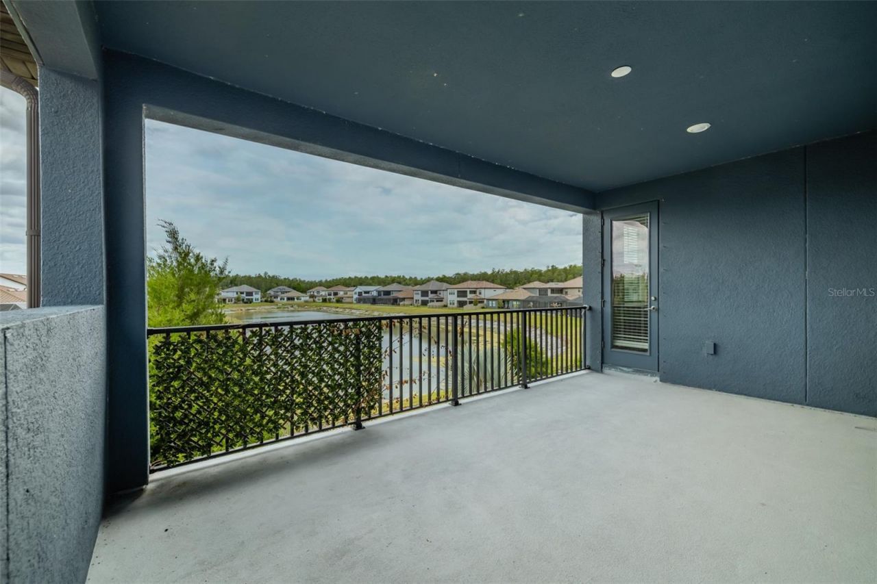 29527 Picana Lane, Wesley Chapel, FL 33543 Photo