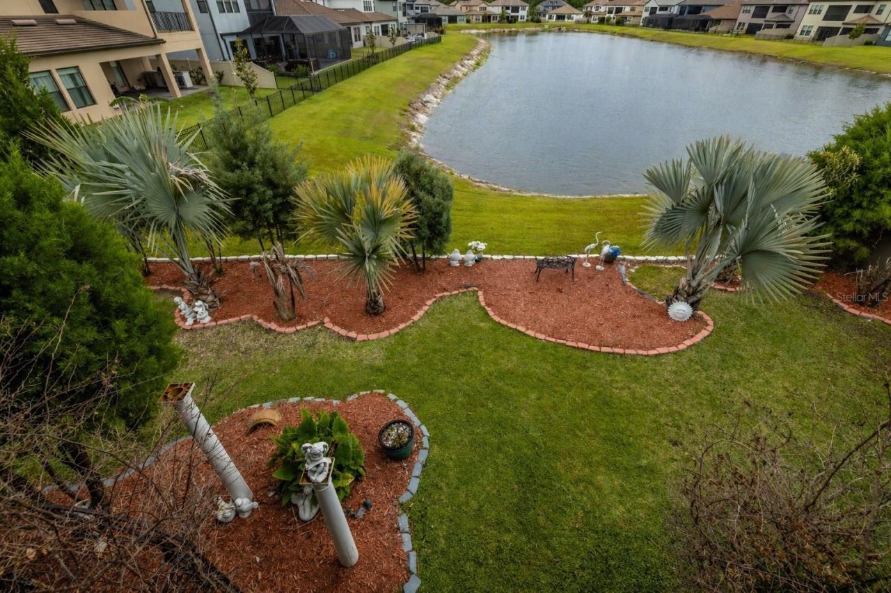 29527 Picana Lane, Wesley Chapel, FL 33543 Photo