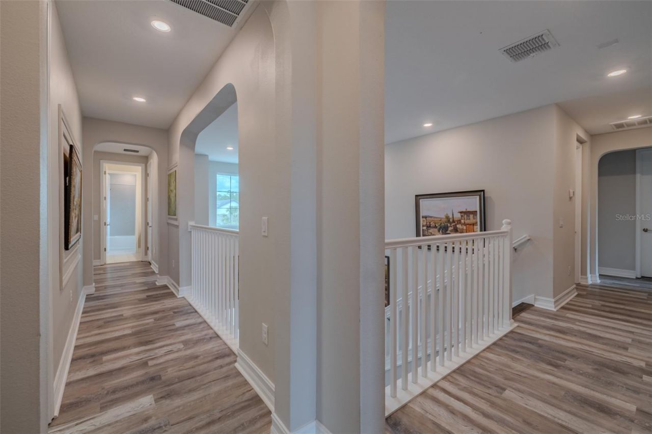 29527 Picana Lane, Wesley Chapel, FL 33543 Photo