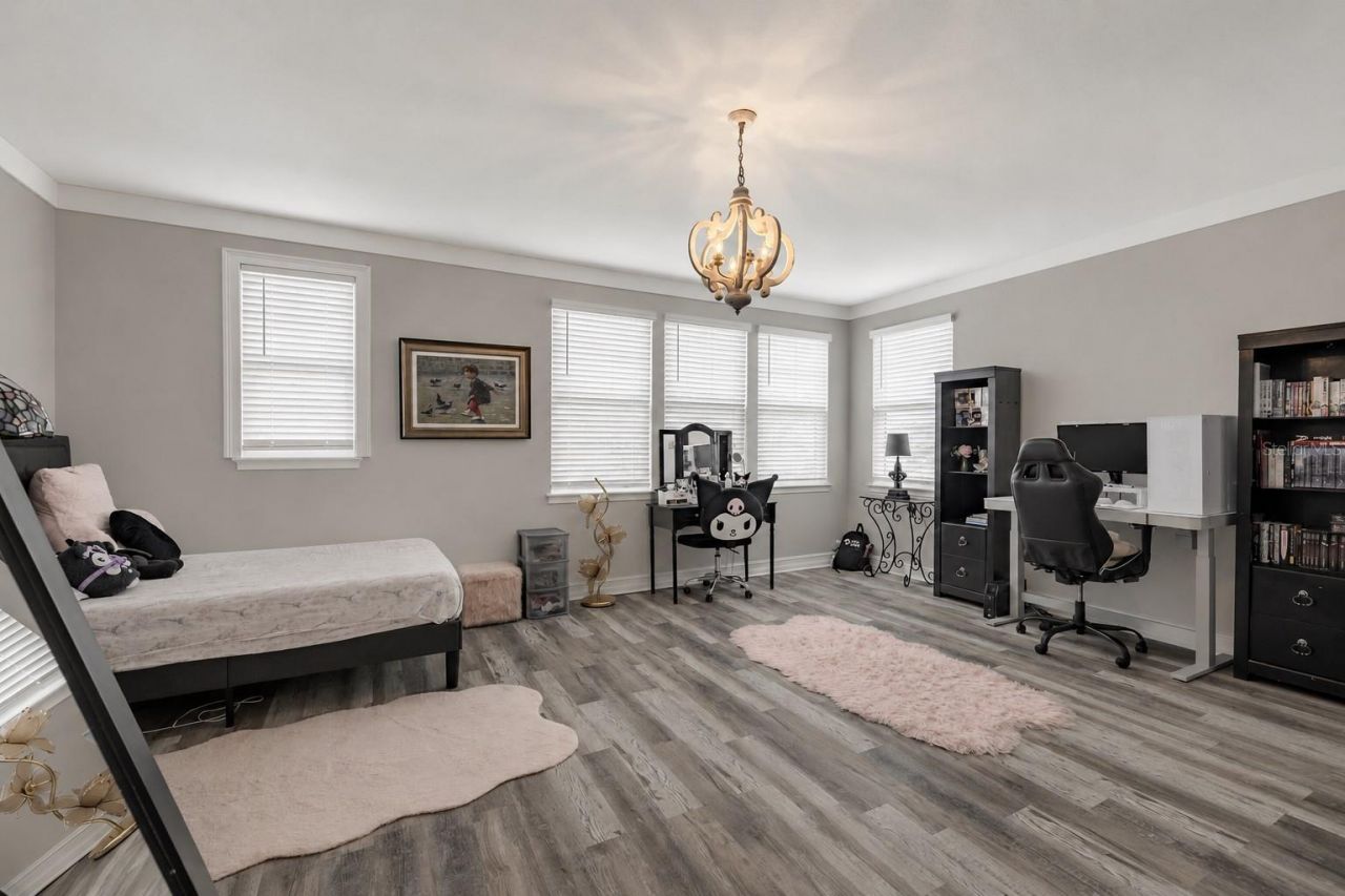 29527 Picana Lane, Wesley Chapel, FL 33543 Photo