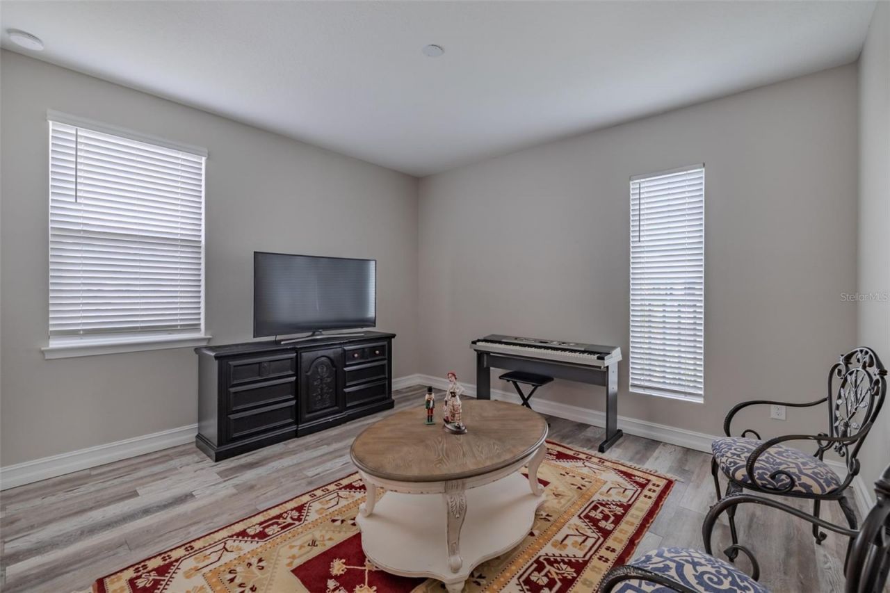 29527 Picana Lane, Wesley Chapel, FL 33543 Photo