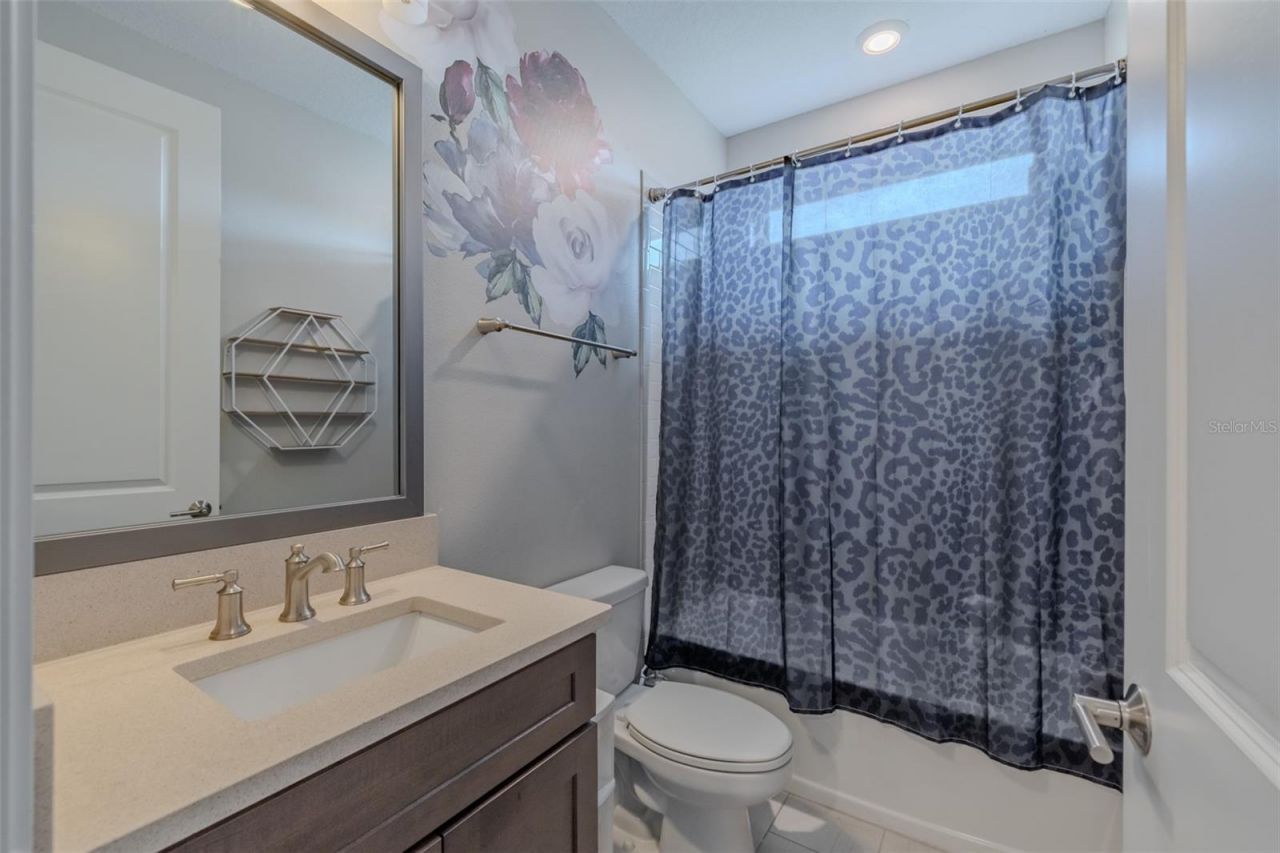 29527 Picana Lane, Wesley Chapel, FL 33543 Photo