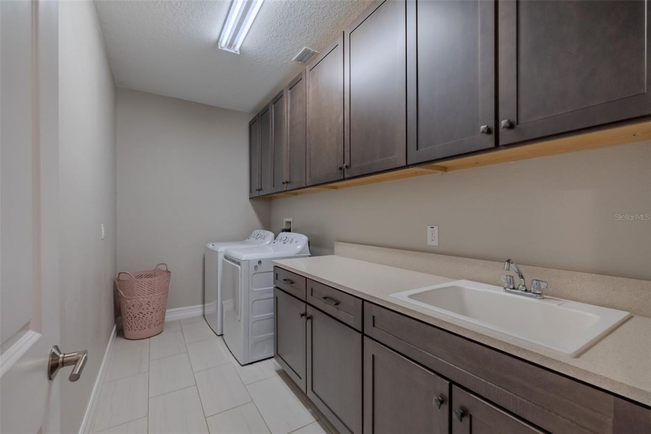 29527 Picana Lane, Wesley Chapel, FL 33543 Photo