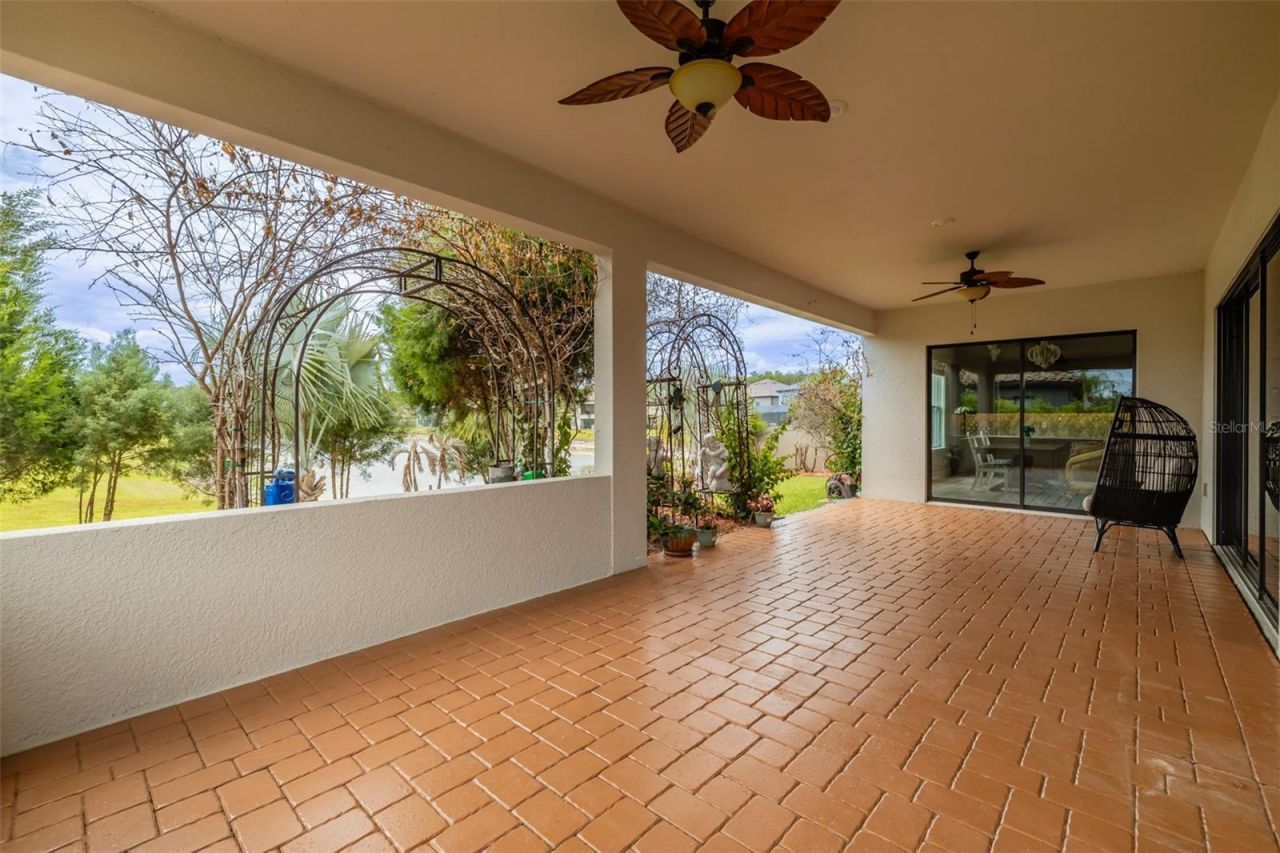 29527 Picana Lane, Wesley Chapel, FL 33543 Photo
