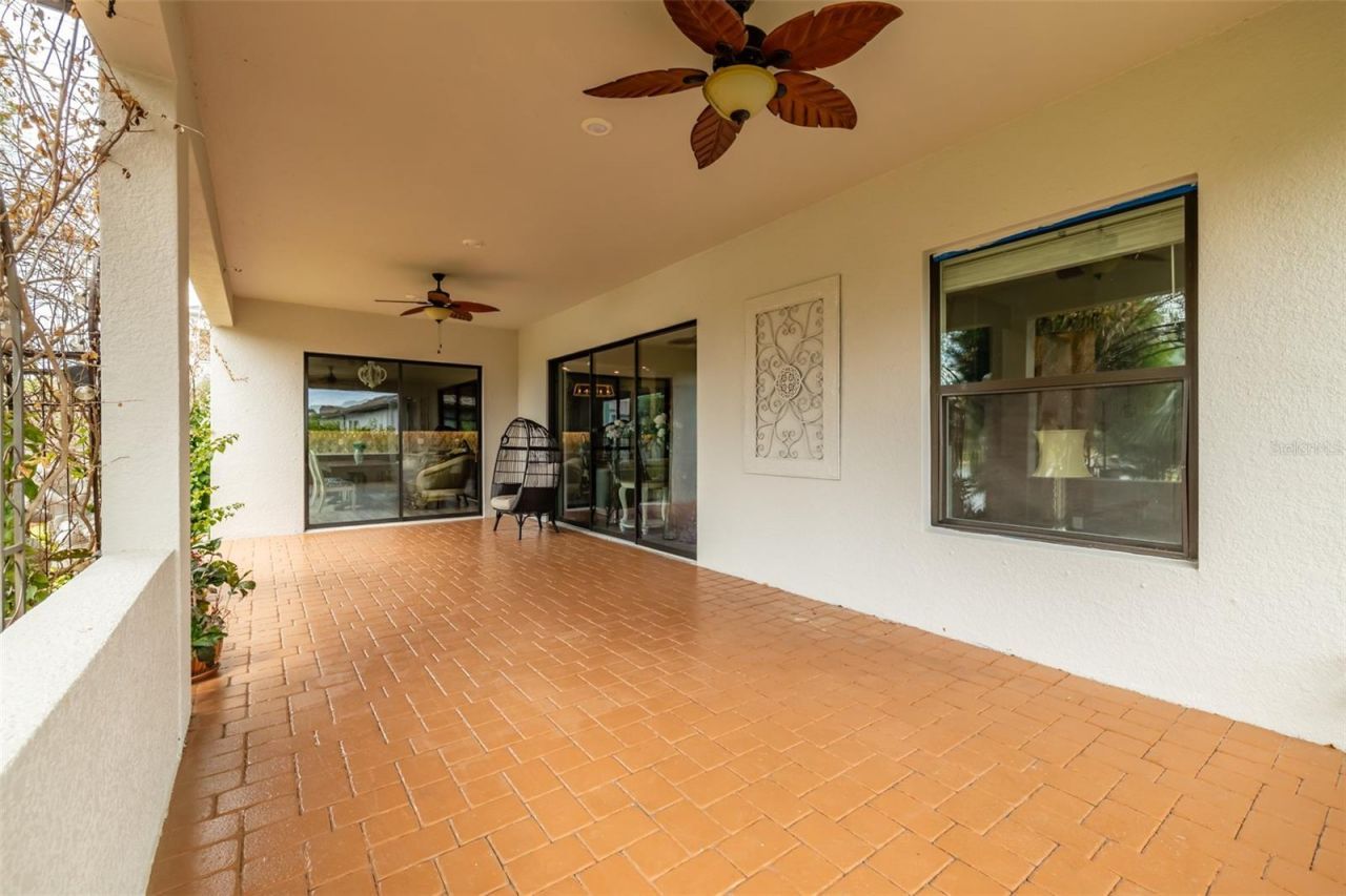 29527 Picana Lane, Wesley Chapel, FL 33543 Photo