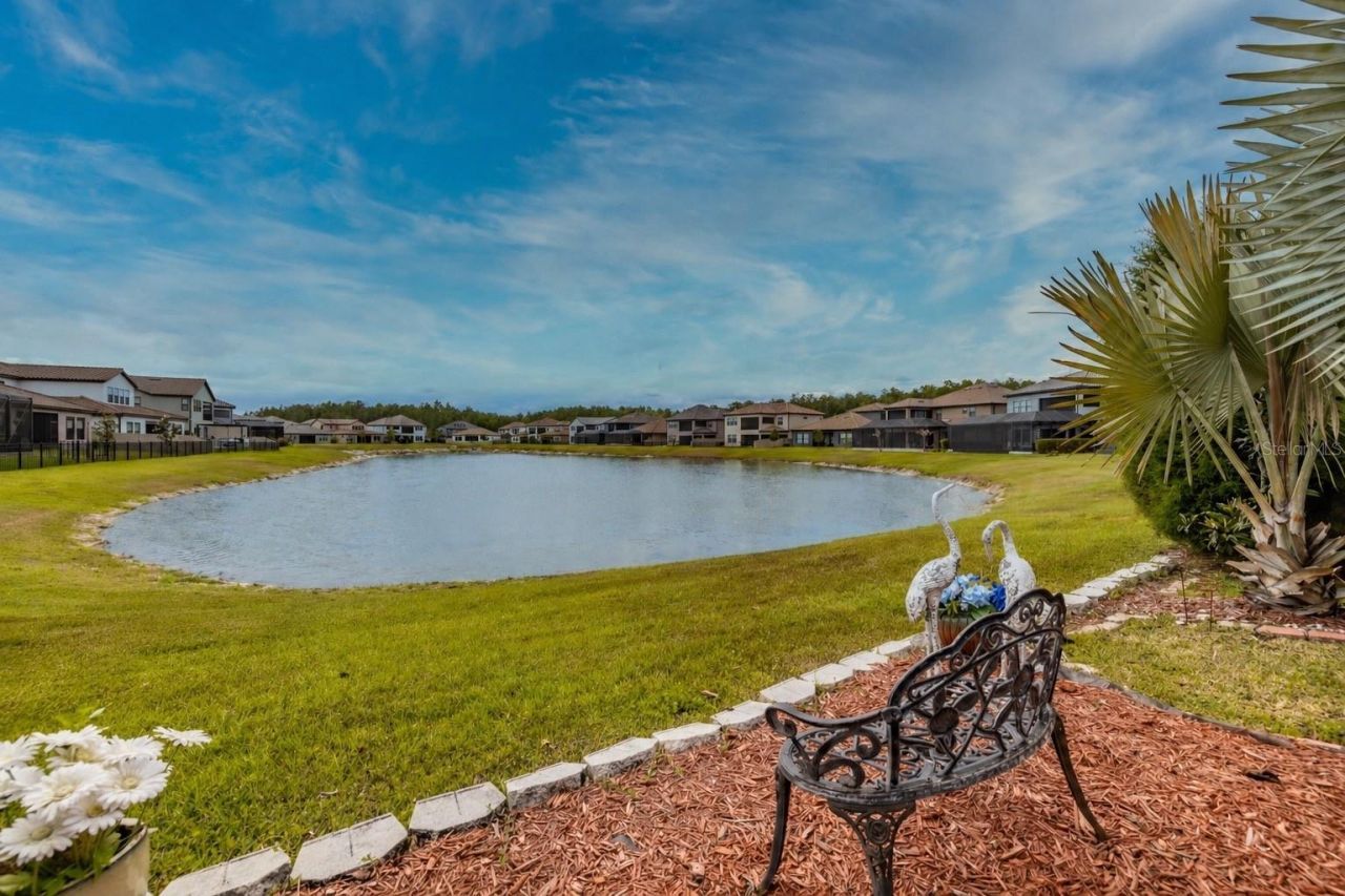 29527 Picana Lane, Wesley Chapel, FL 33543 Photo