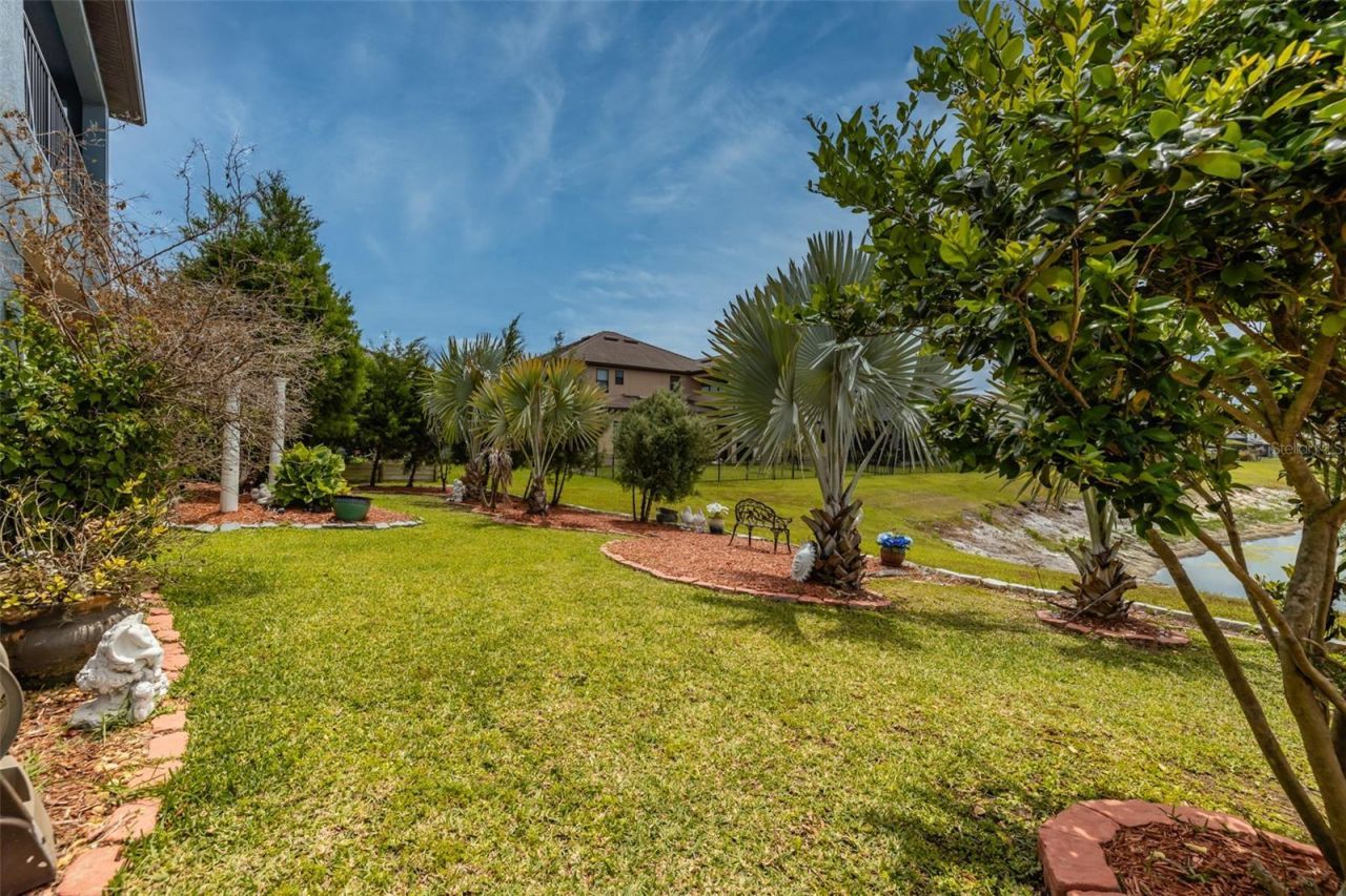 29527 Picana Lane, Wesley Chapel, FL 33543 Photo
