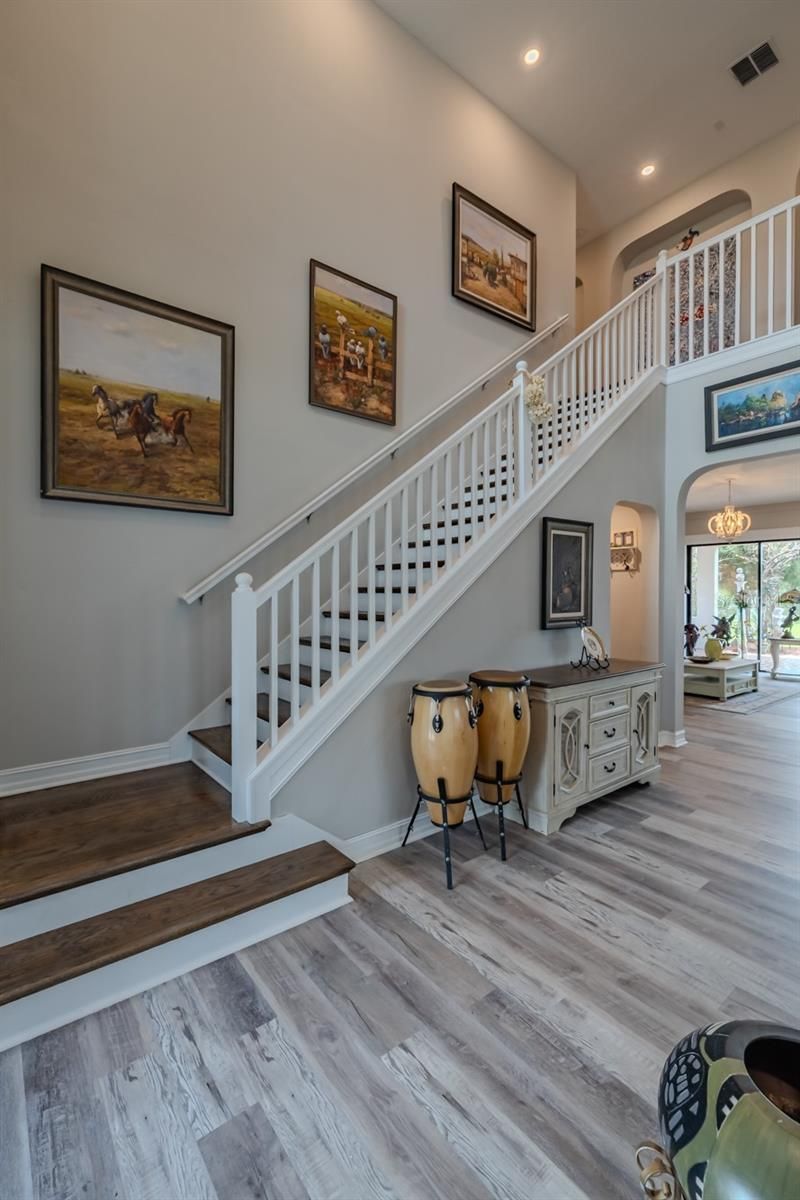 29527 Picana Lane, Wesley Chapel, FL 33543 Photo