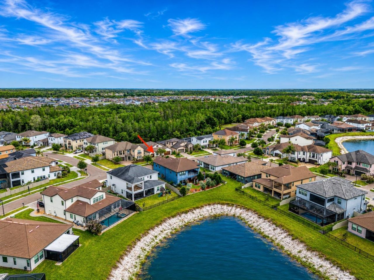 29527 Picana Lane, Wesley Chapel, FL 33543 Photo