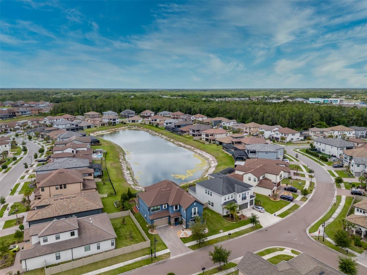 29527 Picana Lane, Wesley Chapel, FL 33543 Photo