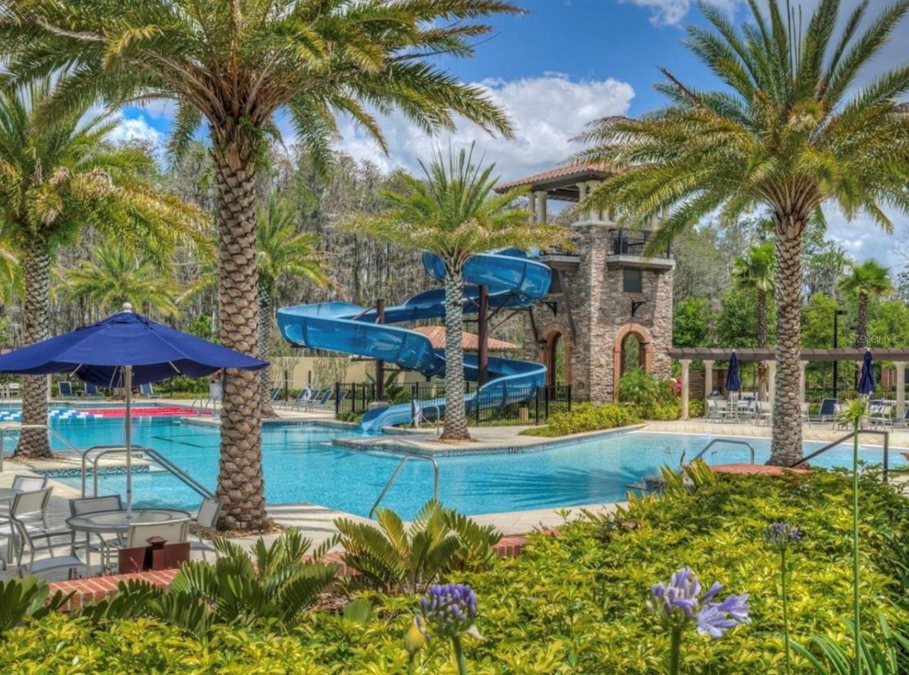 29527 Picana Lane, Wesley Chapel, FL 33543 Photo