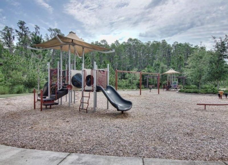 29527 Picana Lane, Wesley Chapel, FL 33543 Photo
