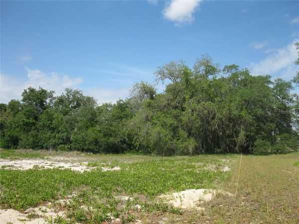 4199 JACARANDA DRIVE , LAKE WALES, FL 33898