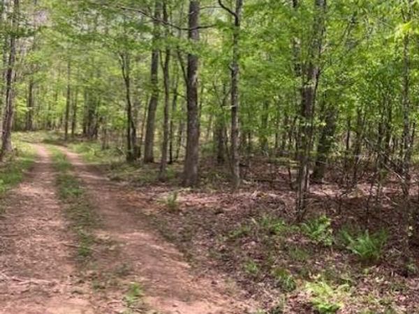 223 Madison CR 410 , Fredericktown, MO 63645
