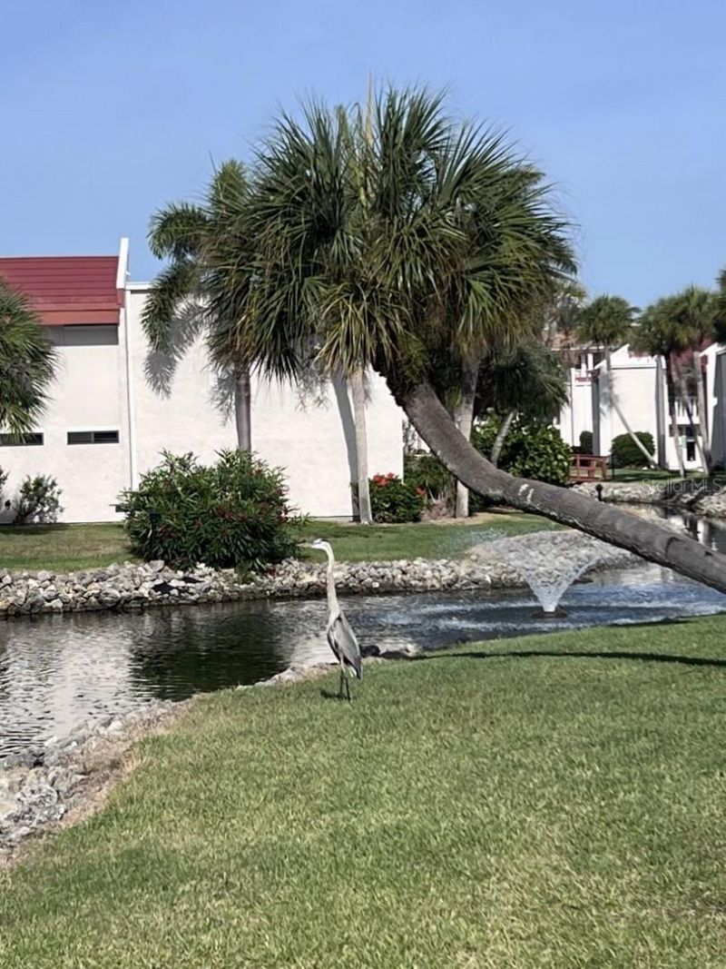 1801 Gulf Drive N, Unit 184, Bradenton Beach, FL 34217 Photo