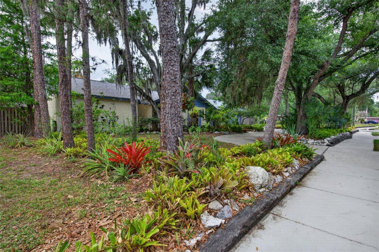 901 W River Drive, Temple Terrace, FL 33617 Photo