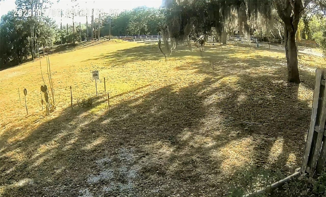 901 W River Drive, Temple Terrace, FL 33617 Photo