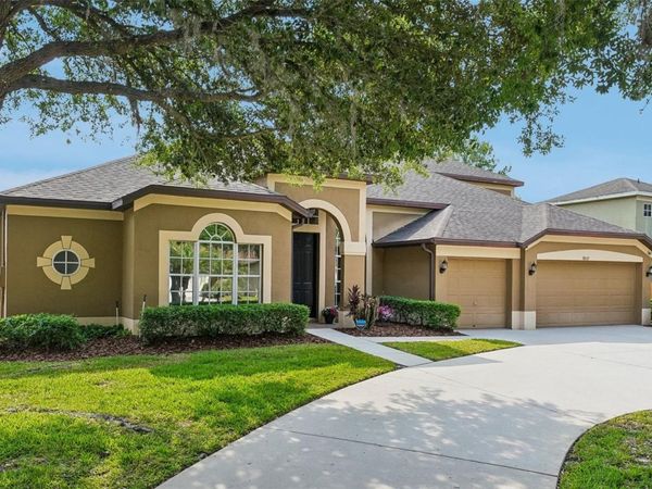 19117 MANDARIN GROVE PLACE , TAMPA, FL 33647