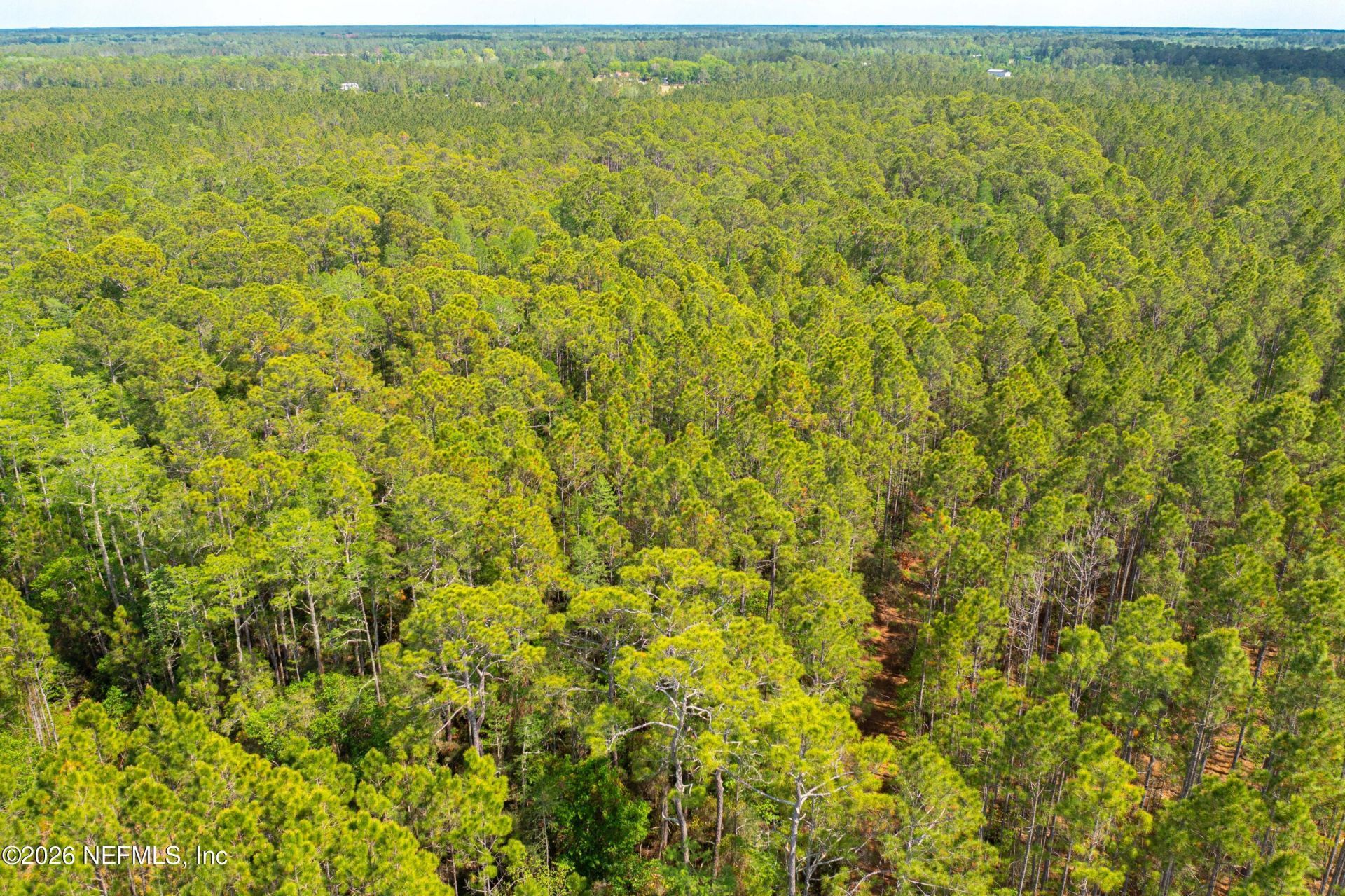 0 County Road 229, Sanderson, FL 32087 Photo