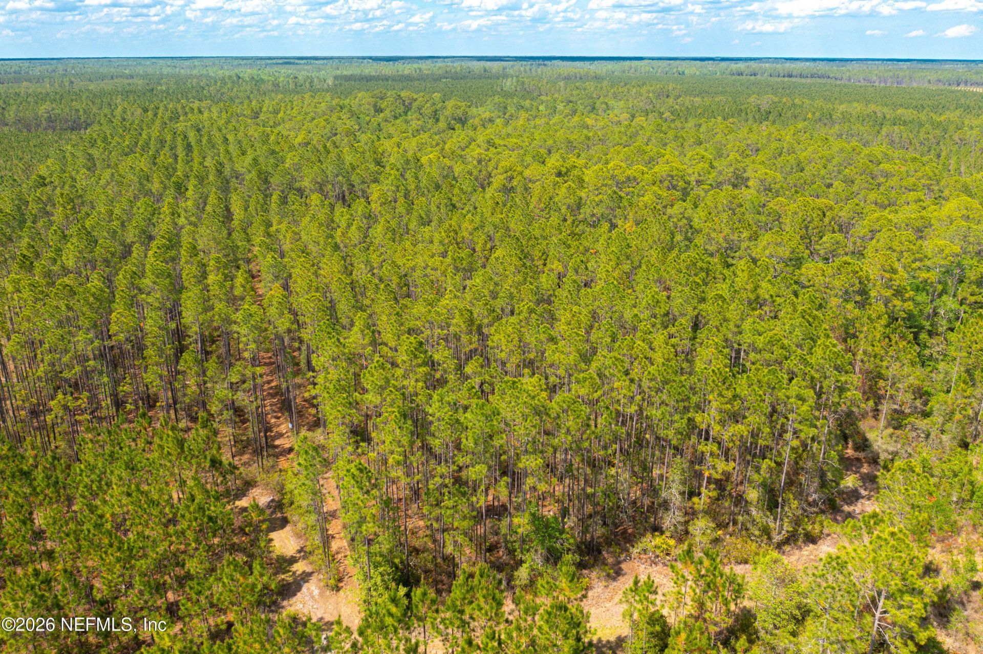 0 County Road 229, Sanderson, FL 32087 Photo
