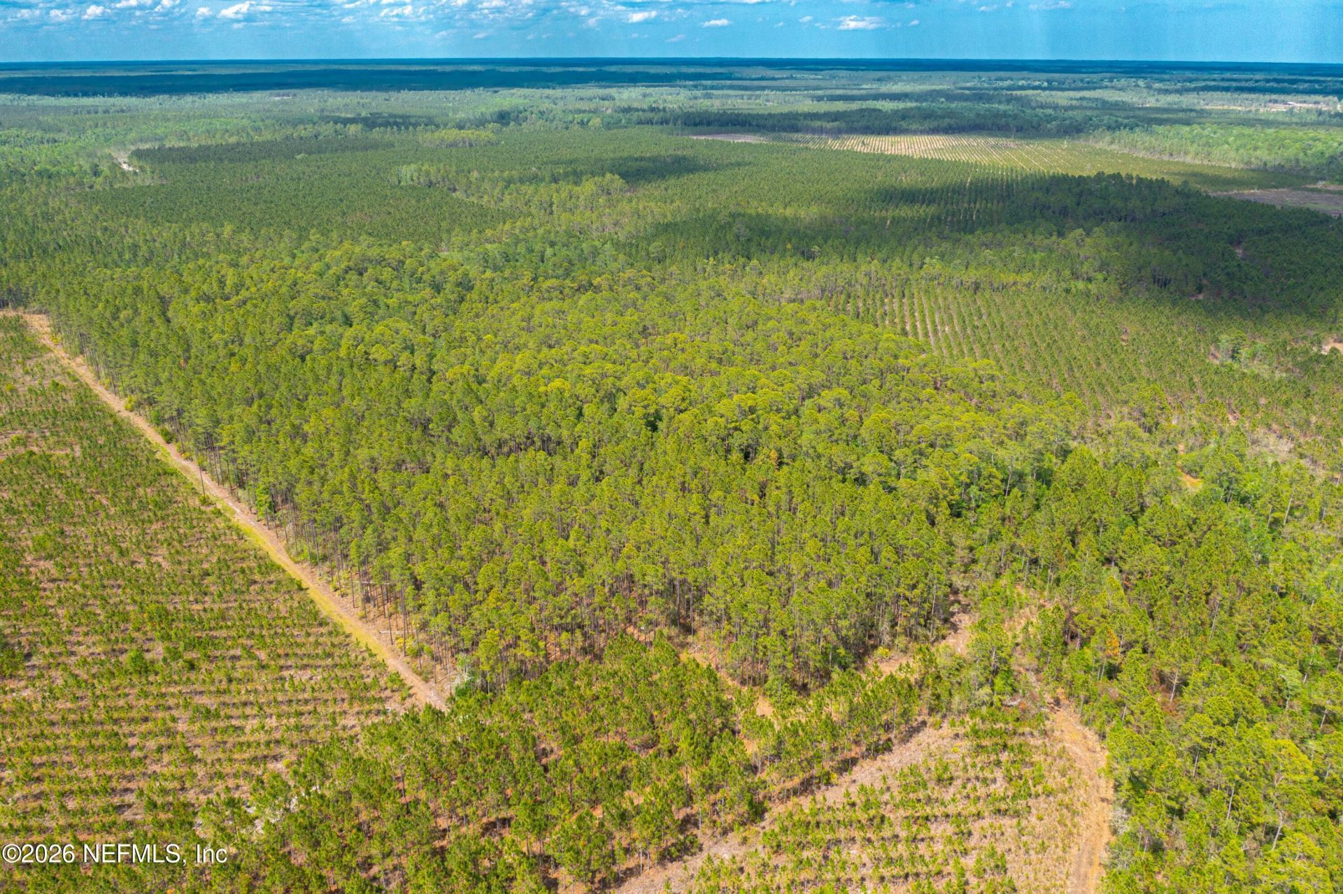 0 County Road 229, Sanderson, FL 32087 Photo