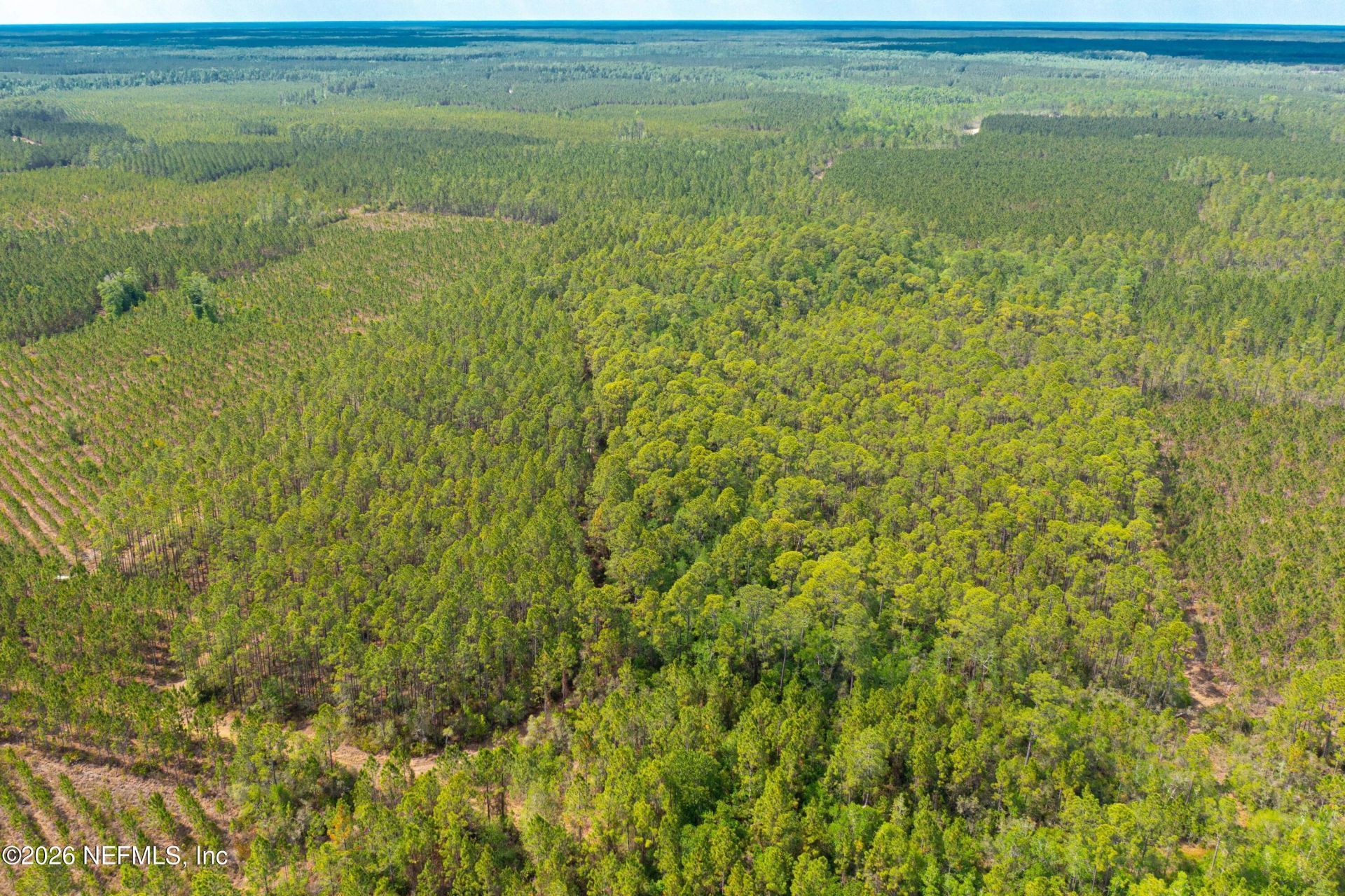0 County Road 229, Sanderson, FL 32087 Photo