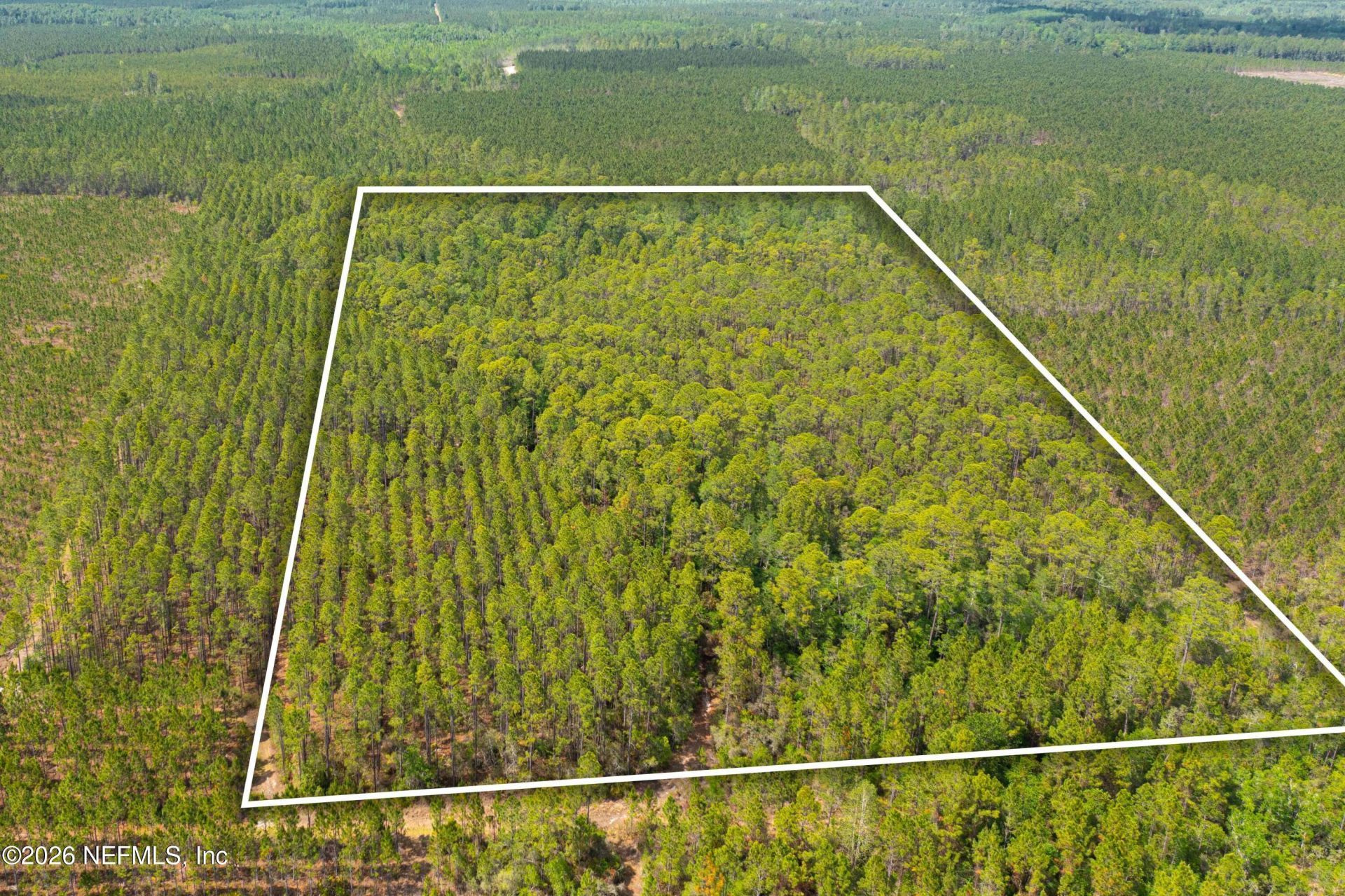 0 County Road 229, Sanderson, FL 32087 Photo