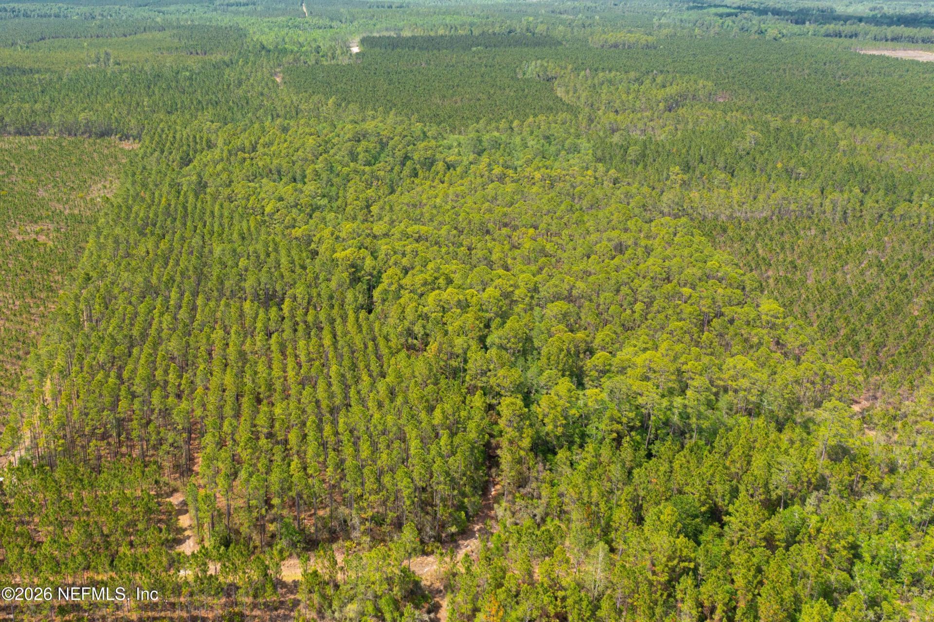 0 County Road 229, Sanderson, FL 32087 Photo