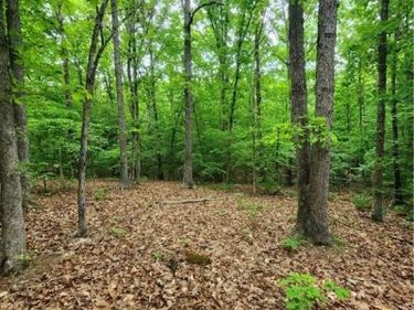 0 Bryants Ford Road, Fork Union, VA 23055