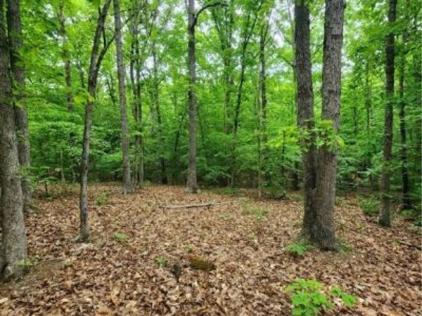 0 Bryants Ford Road, Fork Union, VA 23055