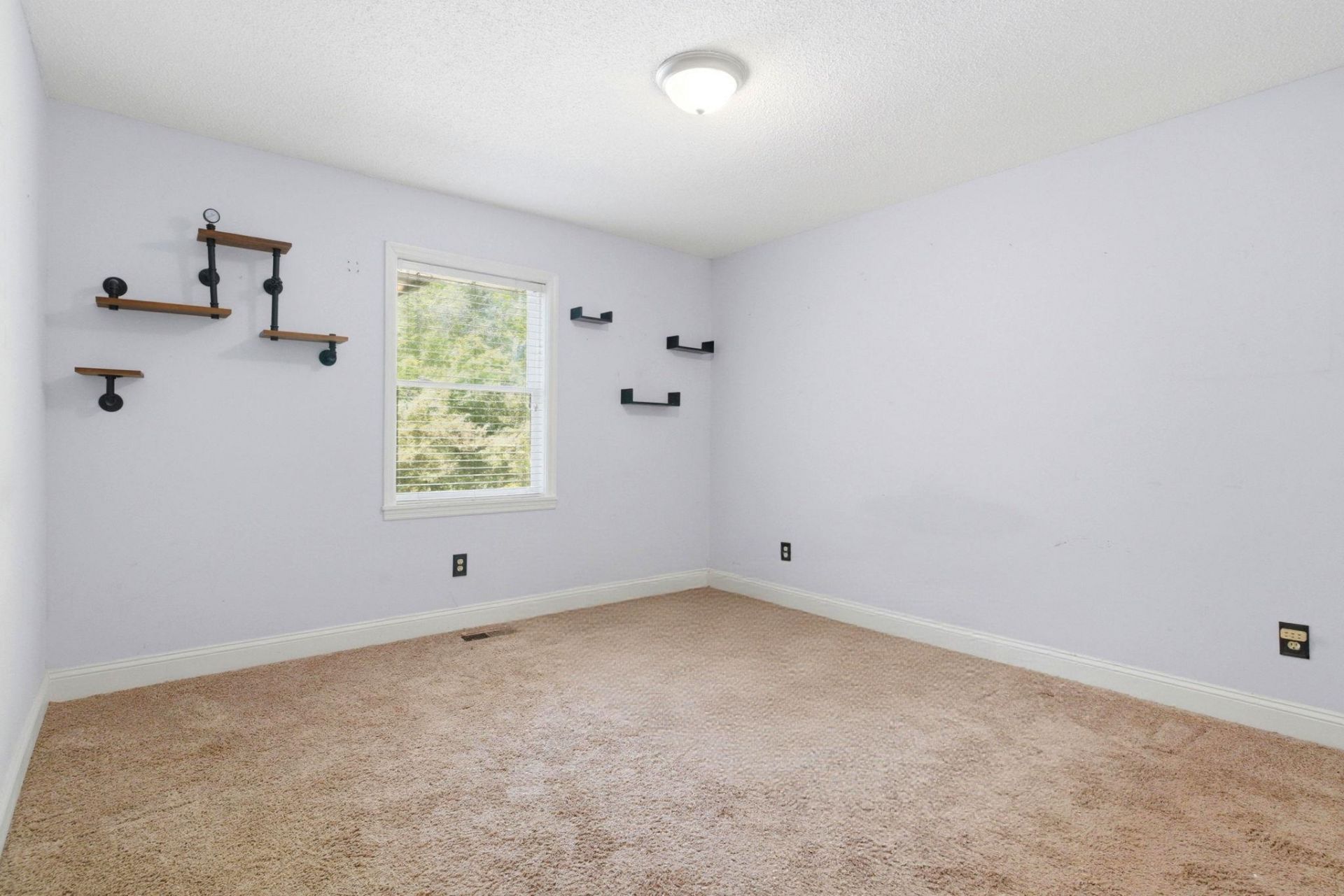 927 Little Creek Rd. Photo 13