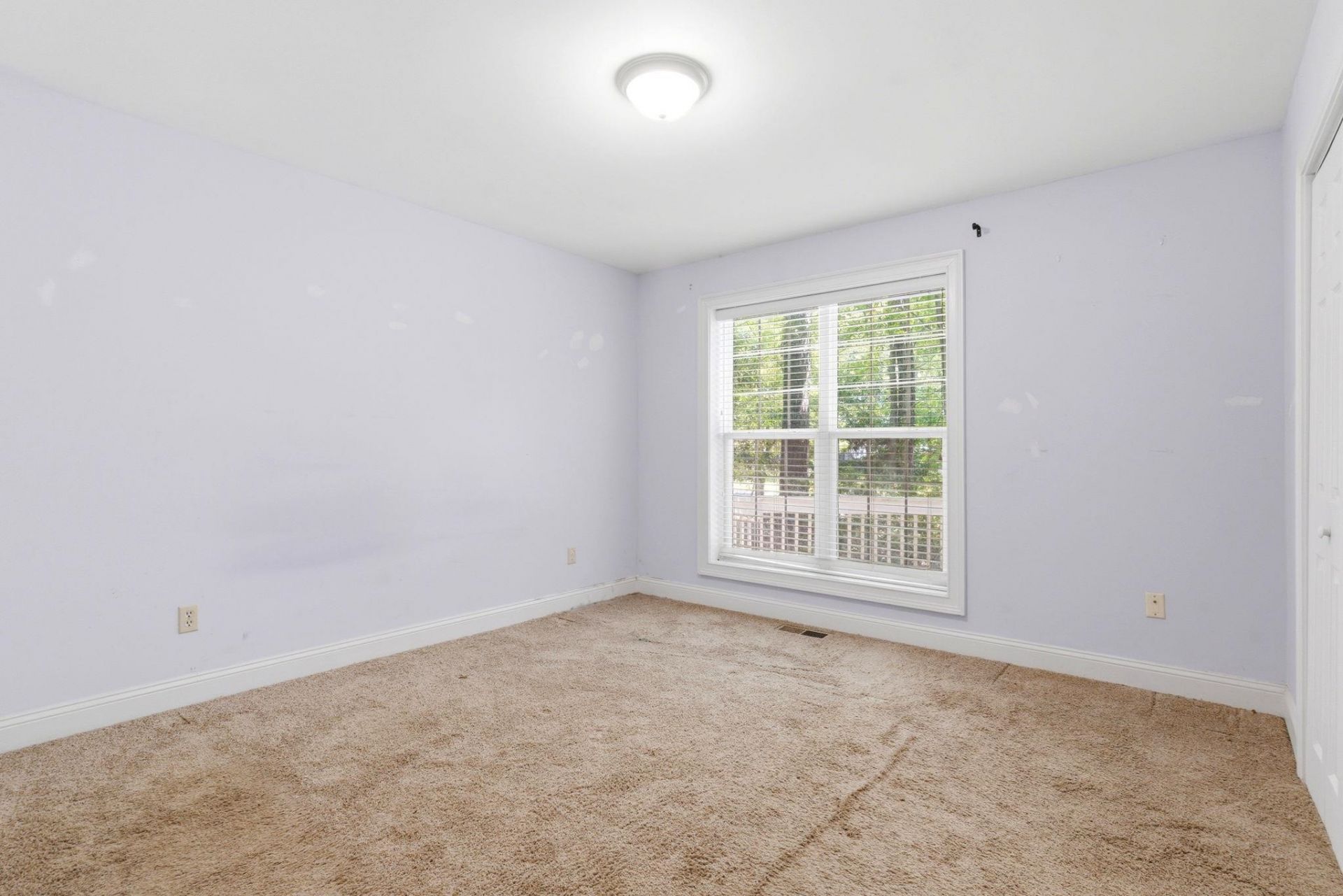927 Little Creek Rd. Photo 15