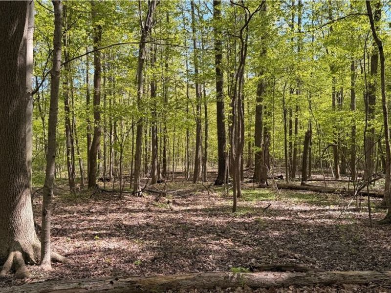 St Rt. 82 , Columbia Station, OH 44028 Photo 12