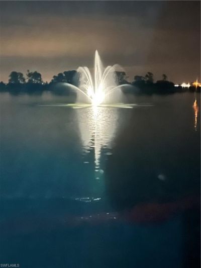 847 Stonewater Lake Ter W, Cape Coral, FL 33993 Photo